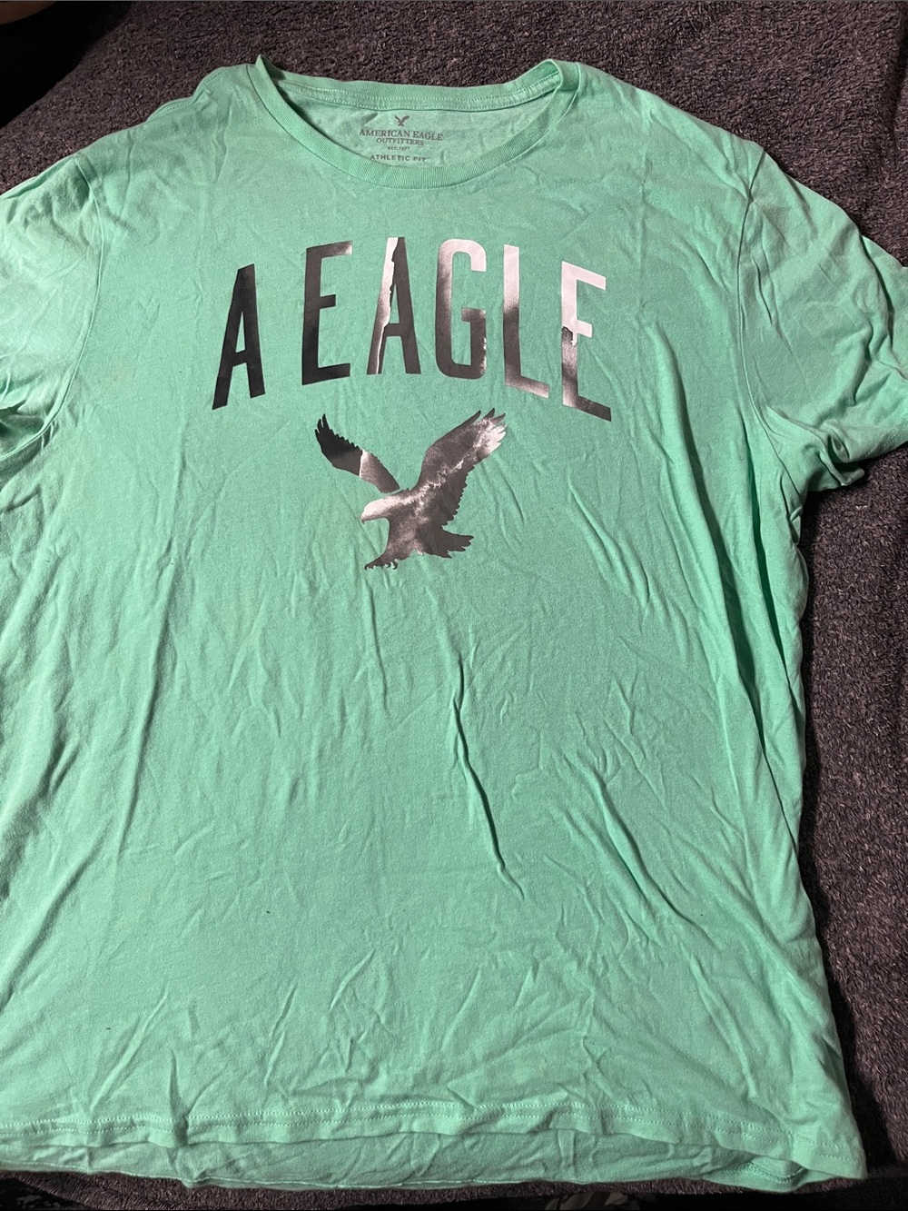 American Eagle Outfitters Men’s Mint Green Graphic Tee with Metallic Eagle